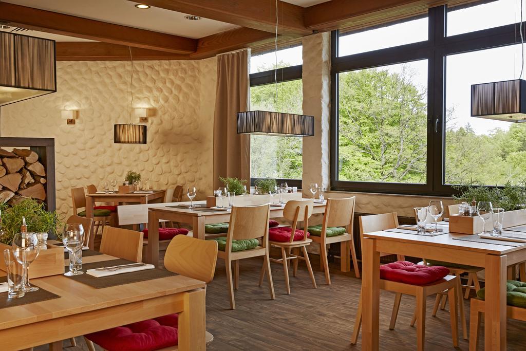 H+ Hotel Willingen Willingen  Eksteriør bilde