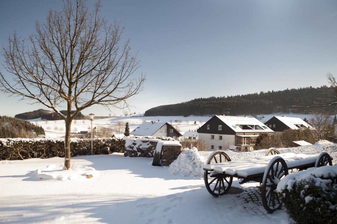 H+ Hotel Willingen Willingen  Eksteriør bilde